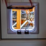 Comment mettre une chatière sans faire de trou?