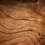 Placage en bois : quels critères pour choisir l'essence du bois ?