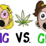 difference-cbd-thc