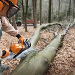 Découvrez la tronçonneuse Ms 391 de la célèbre marque allemande Stihl !