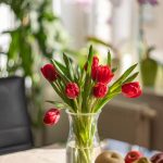 tulipes rouge dans jardiere ronde