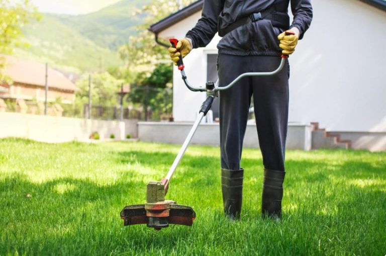Pourquoi ma débroussailleuse s'étouffe les solutions efficaces Le — free download
