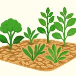 découvrez les avantages des copeaux de bois pour enrichir votre jardin naturellement, améliorer la fertilité du sol et favoriser une croissance saine des plantes.