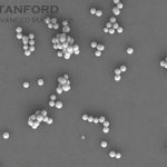 À l'échelle de 3 nanomètres, le dioxyde de titane ordinaire brise sa symétrie et révèle une ferroéle...